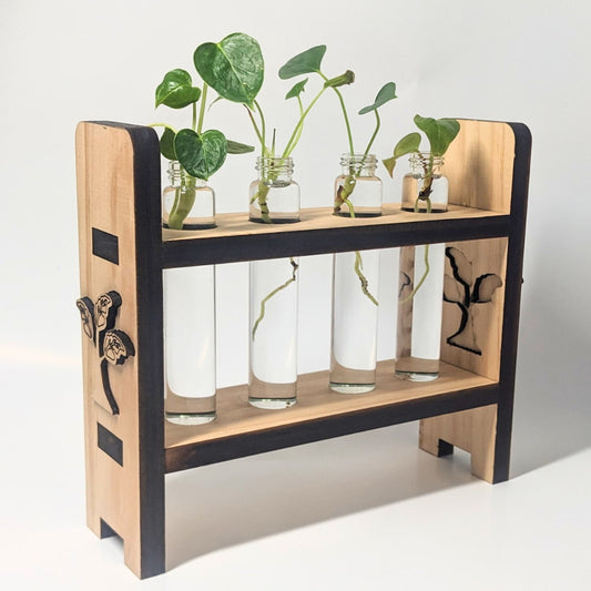 Propagation Kit with Wooden Holder